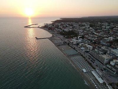 Vasiliki's *