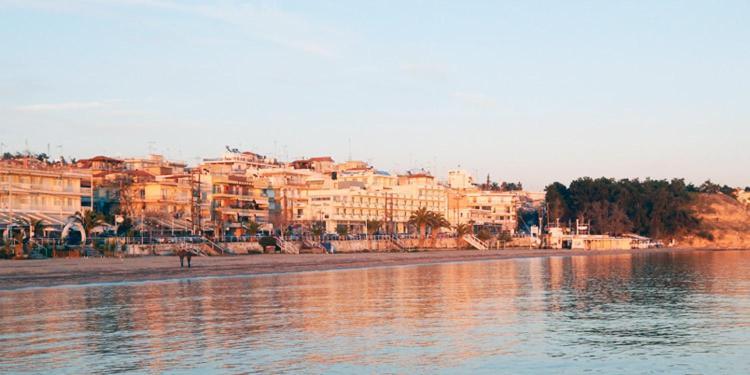 Daire Vasiliki's *